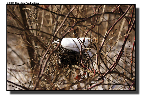 IMAGE: http://www.danellyn.com/other/deer%20hunting/images/deerhunting0013.jpg