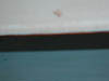 P7260001
