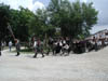 P8030012
