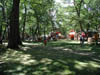 P7090028