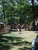 P7090033