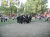 P9040042