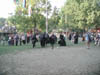 P9040043