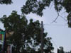 P9040046