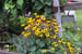 brf0607a 005