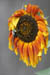 brf0607a 046