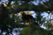 brf0607b 112