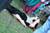 brf0609a 185