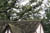 brf0609c 095