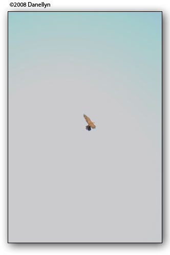 brf0809b0086