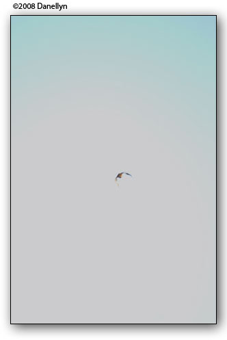 brf0809b0087